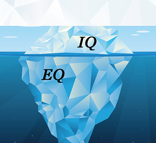 Iceberg IQ v EQ 111