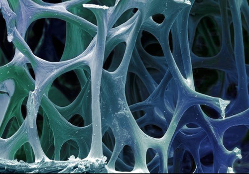 فناوری نانو بافت استخوان ترمیم کنسرسیوم ایرکاس